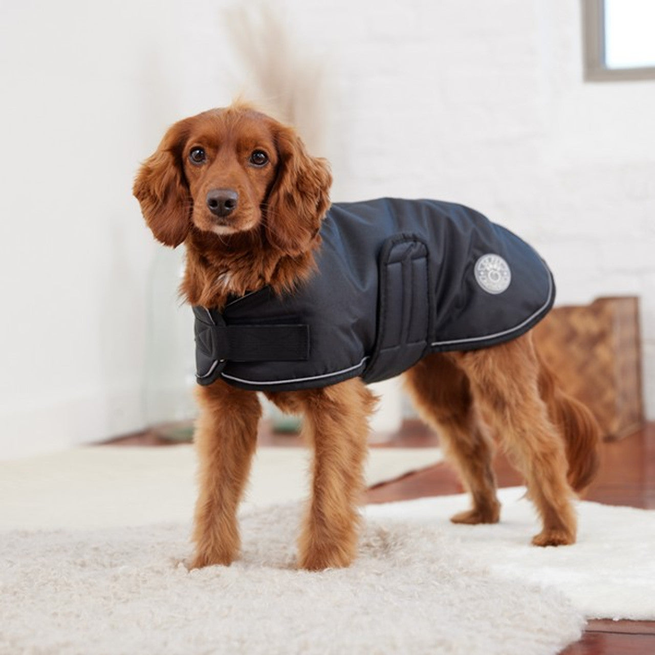 GF Pet Blanket Dog Jacket Black