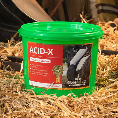 Global Herbs Acid-X 1Kg - Ormskirk Pets