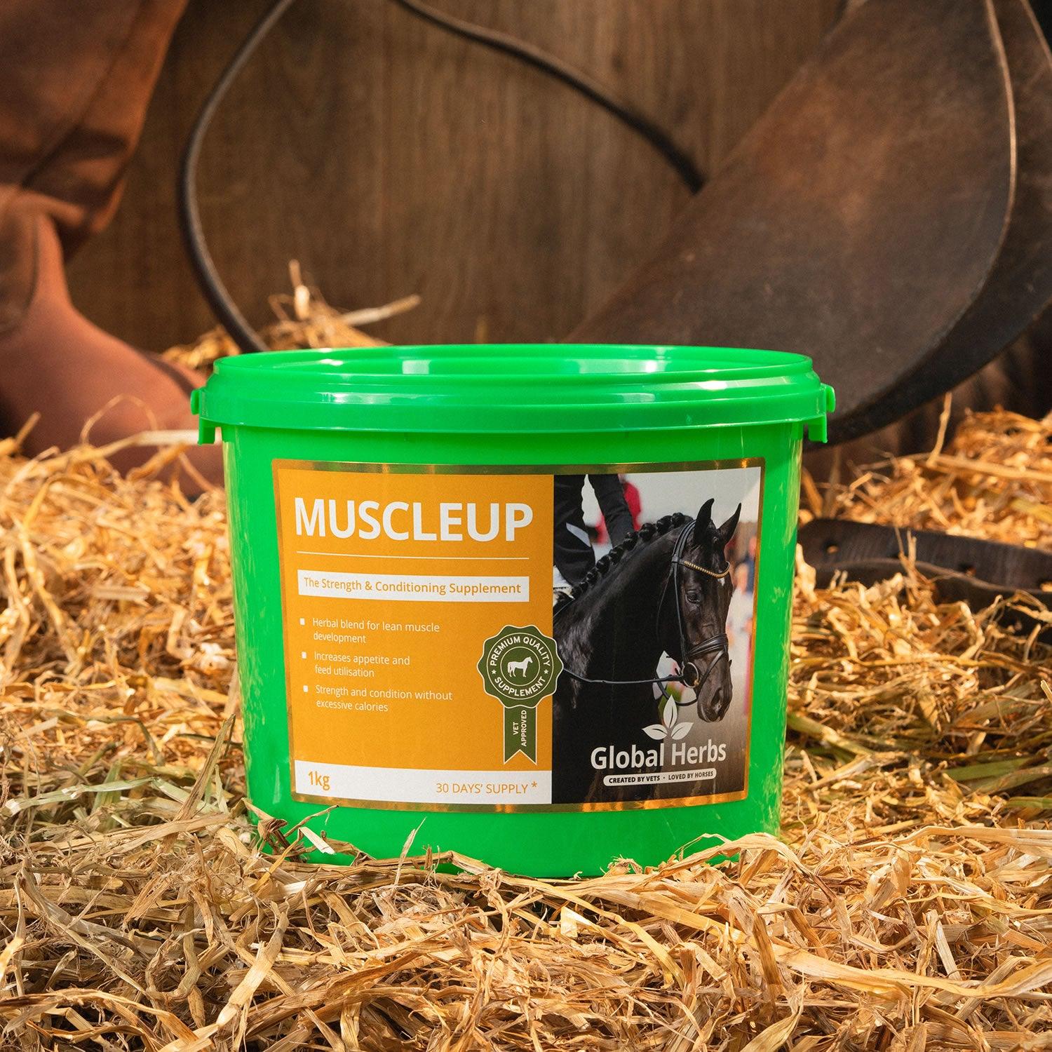 Global Herbs Muscleup 1Kg - Ormskirk Pets