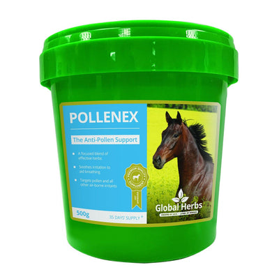 Global Herbs Pollenex 500G - Ormskirk Pets