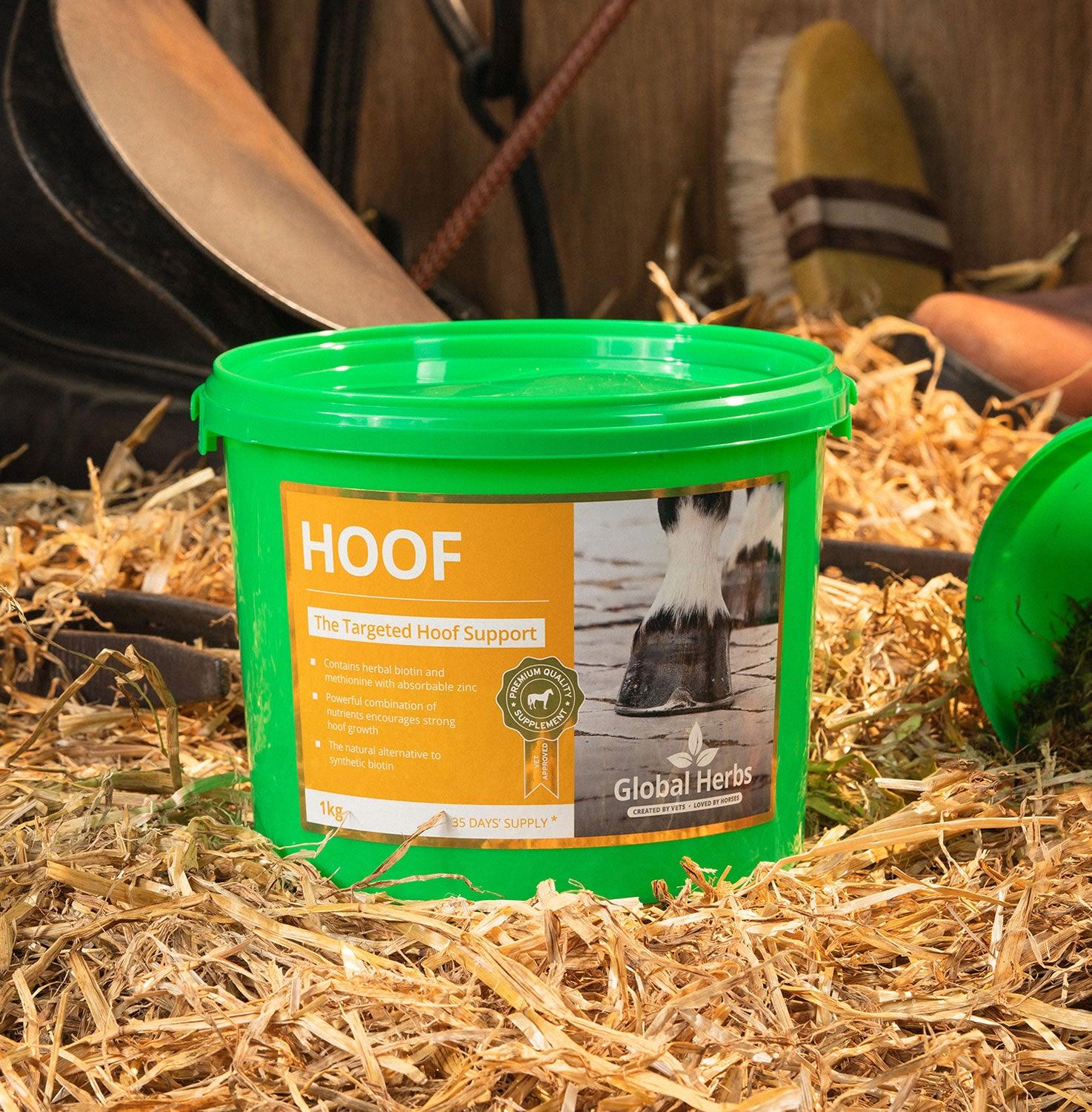 Global Herbs Hoof 1Kg - Ormskirk Pets