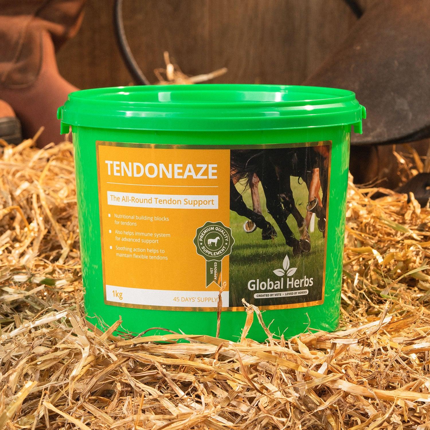 Global Herbs Tendoneaze 1Kg - Ormskirk Pets