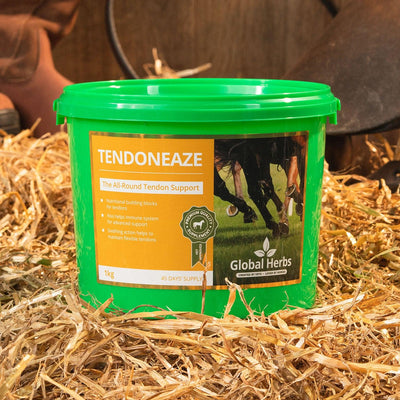 Global Herbs Tendoneaze 1Kg - Ormskirk Pets