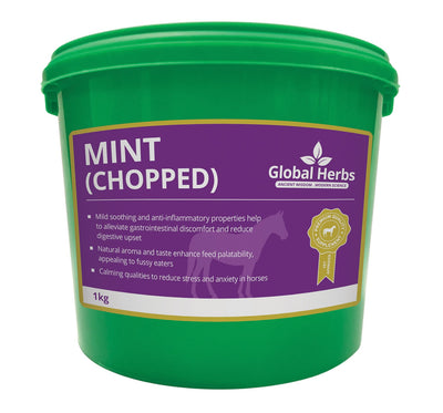 GLOBAL HERBS MINT CHOPPED  1 KG