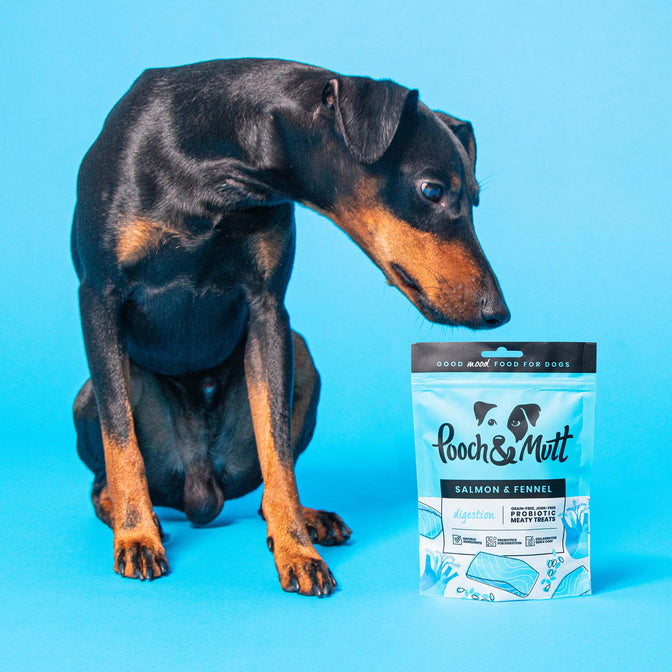 Pooch & Mutt Health & Digestion Probiotic Fish Treats