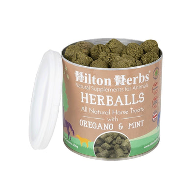 Hilton Herbs Herballs 250G 25 Pack - Ormskirk Pets