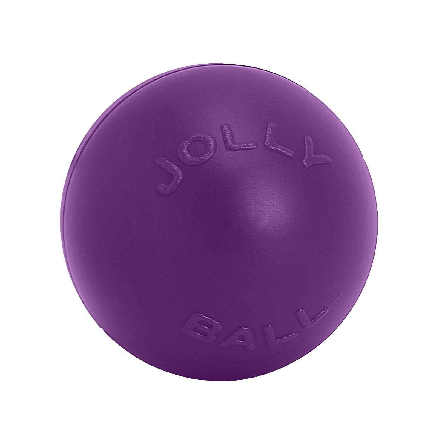 Jolly Pets Push-N-Play 10" Purple - Ormskirk Pets