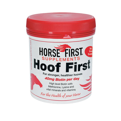 HORSE FIRST HOOF FIRST