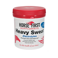 HORSE FIRST HEAVY SWEAT