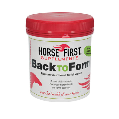 HORSE FIRST BACK TO FORM