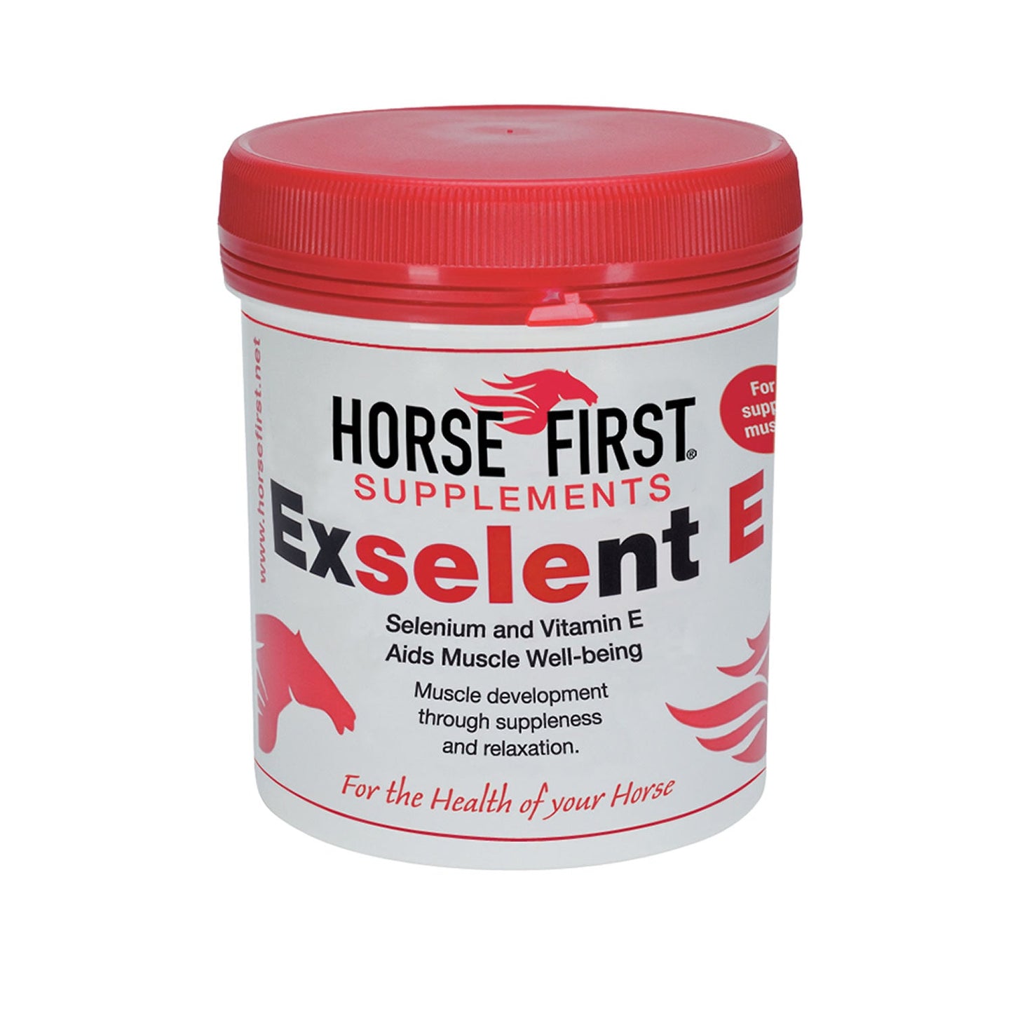 HORSE FIRST EXSELENT E