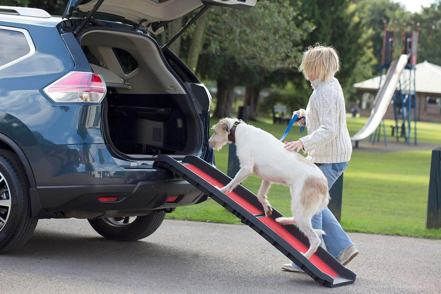 Henry Wag Lightweight Folding Pet Ramp - Ormskirk Pets