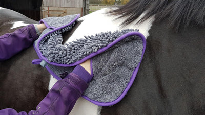 Henry Wag Equine Noodle Glove Towel - Ormskirk Pets