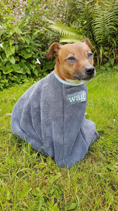 Henry Wag Drying Bag X-Small Grey - Ormskirk Pets