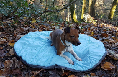 Henry Wag Alpine Travel Snuggle Bed - Ormskirk Pets