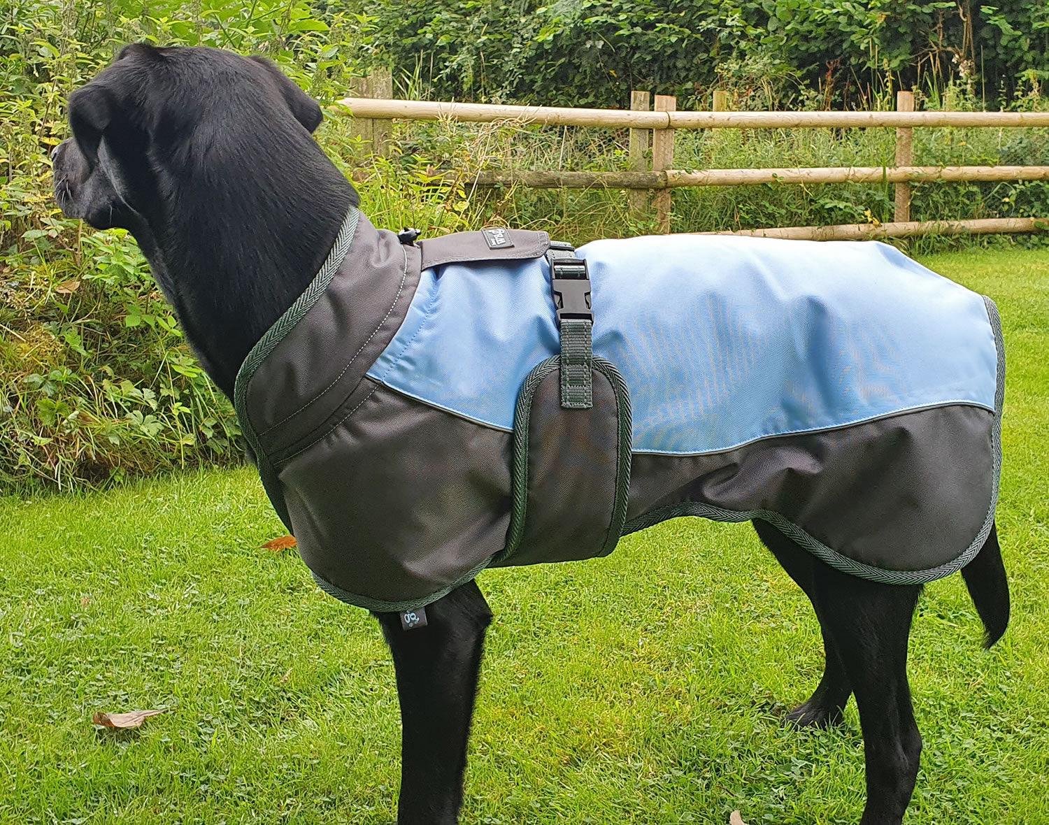 Henry Wag Waterproof Dog Coat X-Small (35Cm) Blue/Grey - Ormskirk Pets