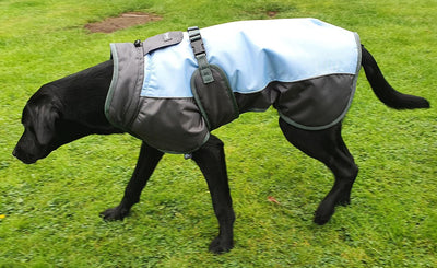 Henry Wag Waterproof Dog Coat Small (40Cm) Blue/Grey - Ormskirk Pets