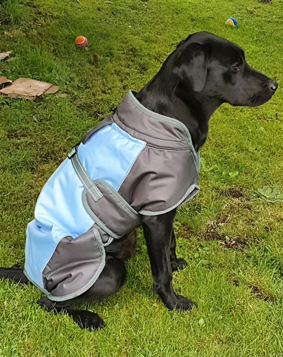 Henry Wag Waterproof Dog Coat Medium (45Cm) Blue/Grey - Ormskirk Pets