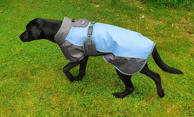 Henry Wag Waterproof Dog Coat Large (55Cm) Blue/Grey - Ormskirk Pets