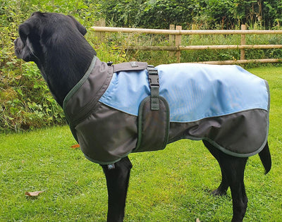 Henry Wag Waterproof Dog Coat Xlarge (65Cm) Blue/Grey - Ormskirk Pets