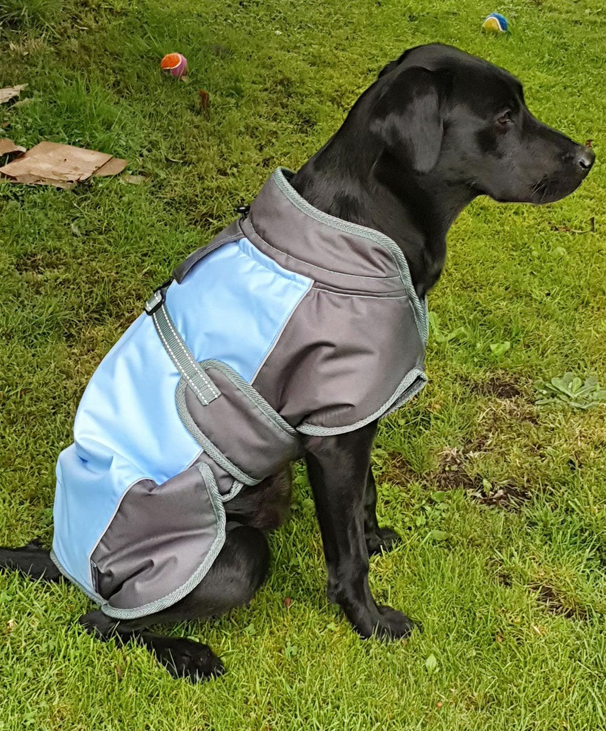 Henry Wag Waterproof Dog Coat 2Xlarge (75Cm) Blue/Grey - Ormskirk Pets