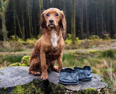 HENRY WAG SNAFFLE PACK BOWL SET - Ormskirk Pets