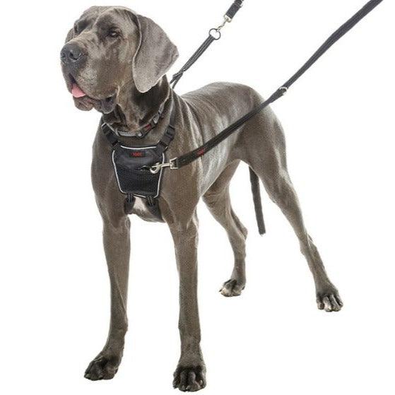 Halti No Pull Harness Large - Ormskirk Pets