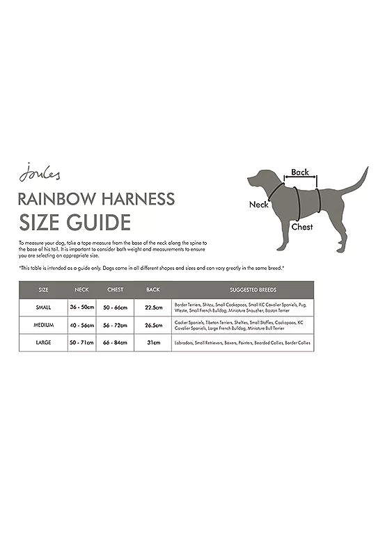 Joules Rainbow Harness