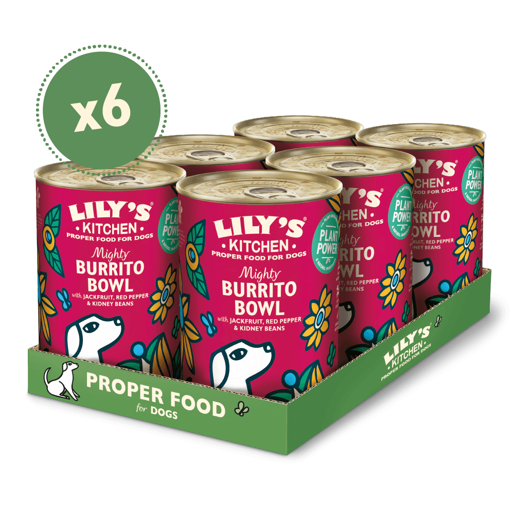 Lily's Kitchen Dog Mighty Burrito Bowl 400g x 6 - Ormskirk Pets