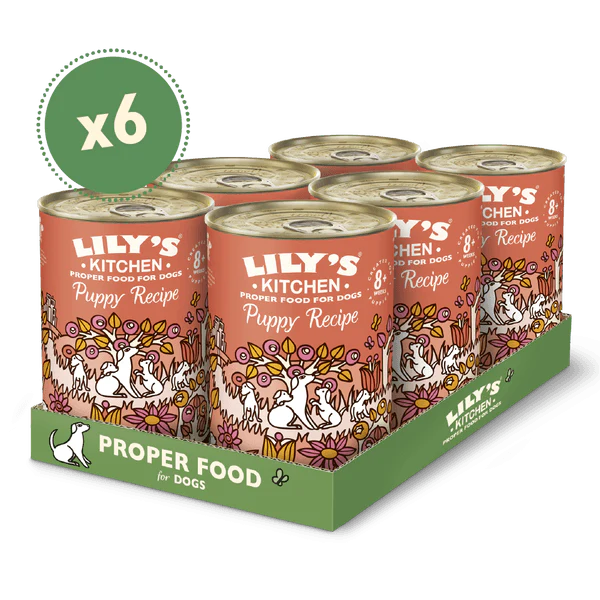 Lily's Kitchen Puppy Chicken Recipe 400g x6