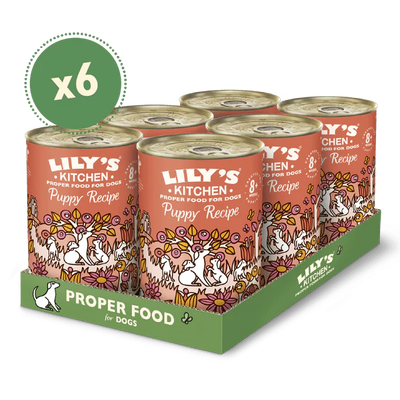 Lily's Kitchen Puppy Chicken Recipe 400g x6