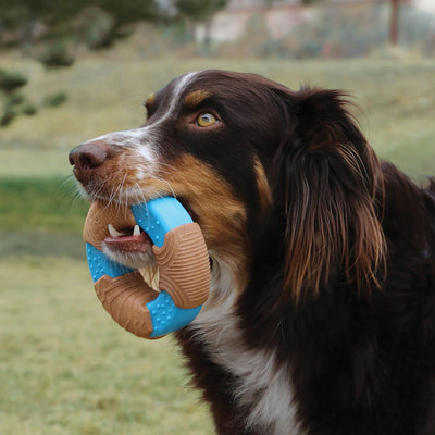 Kong Corestrength Bamboo Ring Small Brown/Blue - Ormskirk Pets