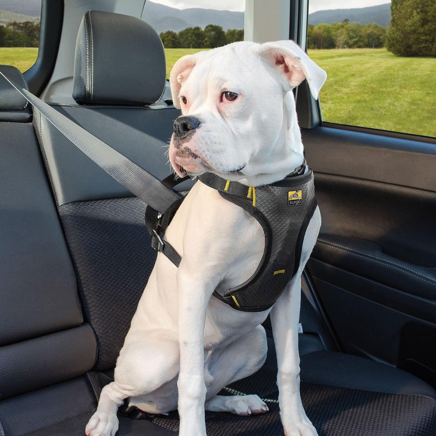 Kurgo Impact Seatbelt Harness Small - Ormskirk Pets