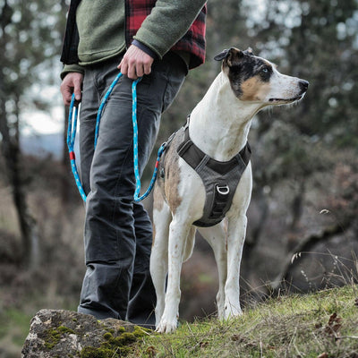 Kurgo Journey Air Harness Black/Grey X-Small - Ormskirk Pets