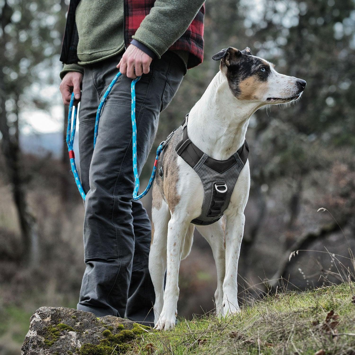 Kurgo Journey Air Harness Black/Grey Small - Ormskirk Pets