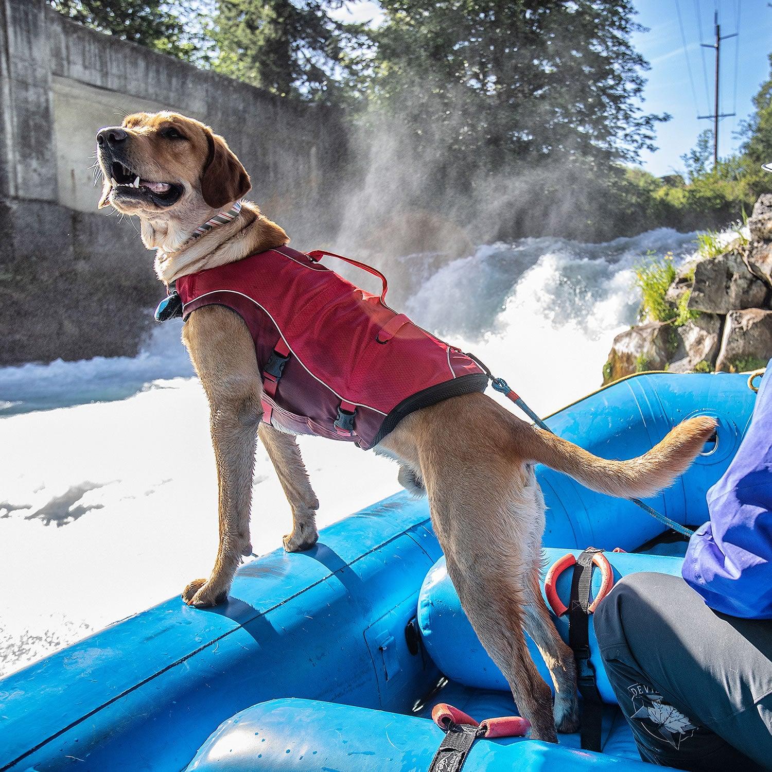 Kurgo Life Jacket Surf N Turf Small - Ormskirk Pets