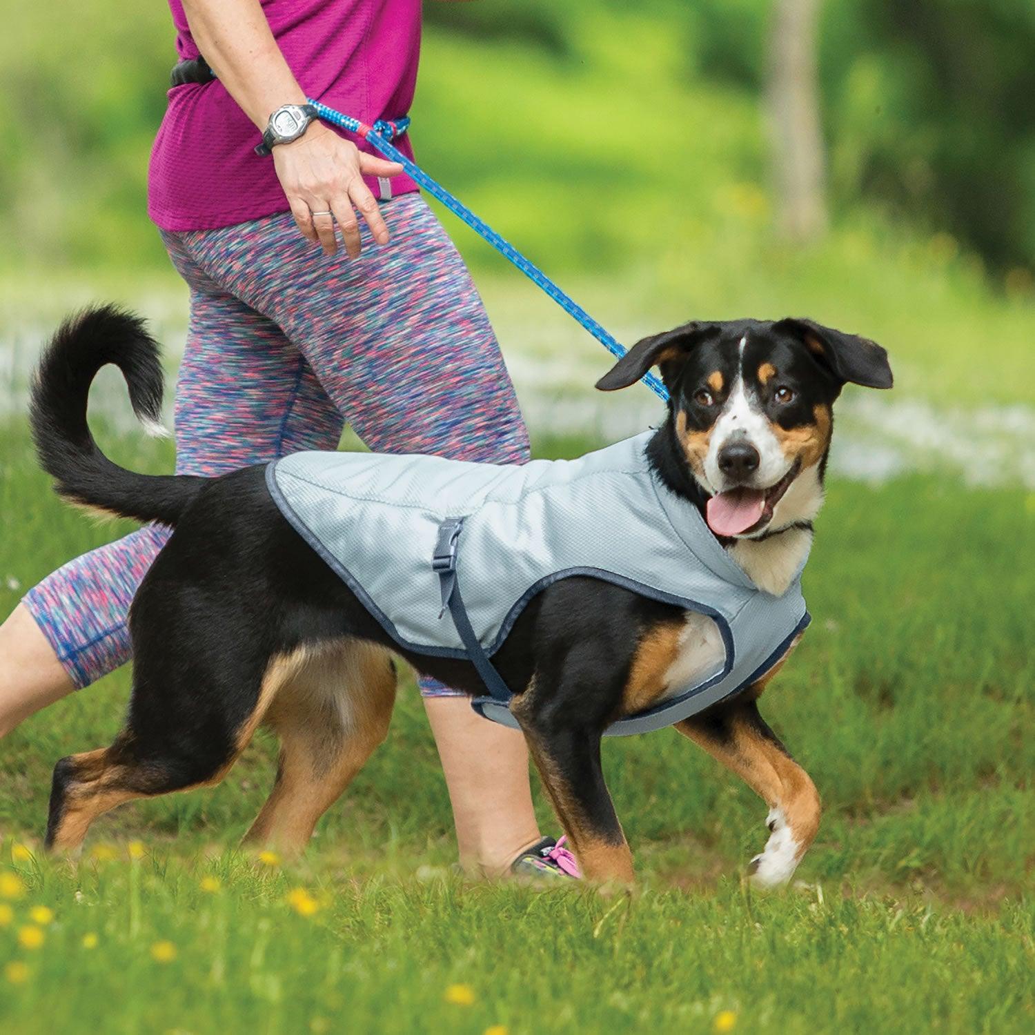 Kurgo Core Cooling Vest Icy Large - Ormskirk Pets