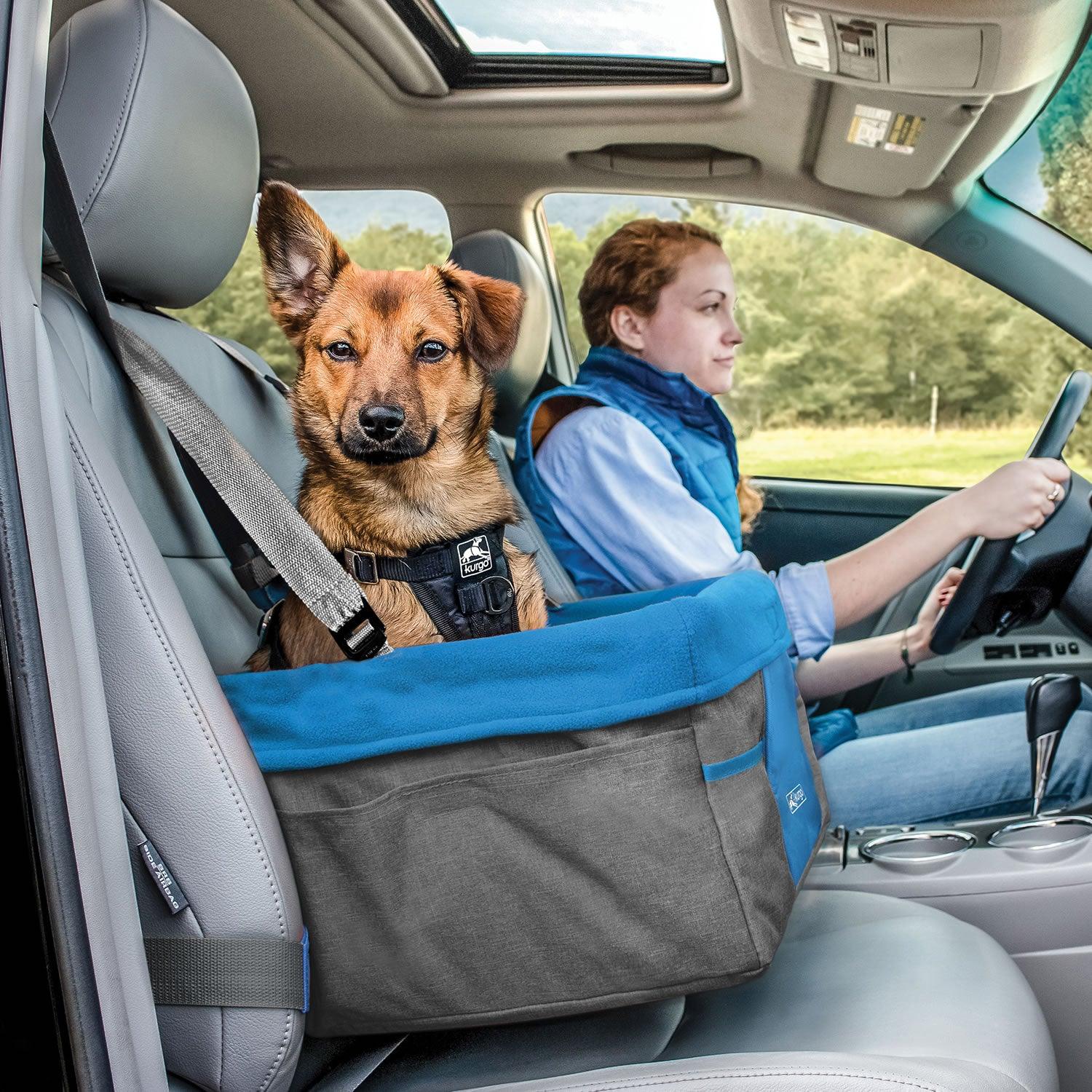 Kurgo Heather Booster Seat Charcoal/Blue - Ormskirk Pets