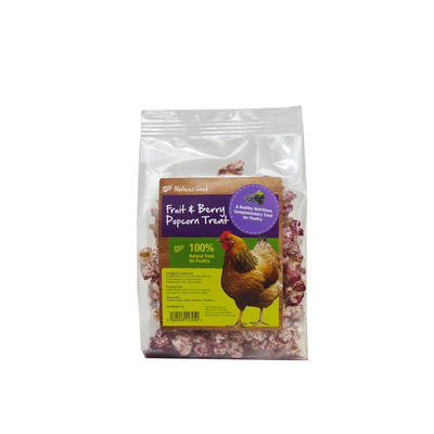 Natures Grub Fruit & Berry Popcorn Treat 20g - Ormskirk Pets