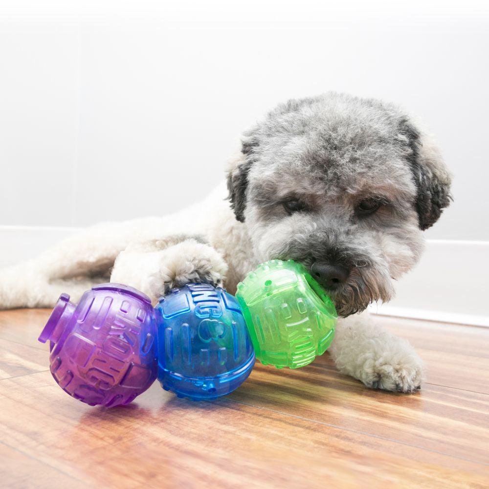 KONG Lock-it 3 Pack Small - Ormskirk Pets