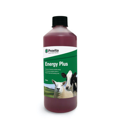 Provita Energy Plus 500ml - Ormskirk Pets