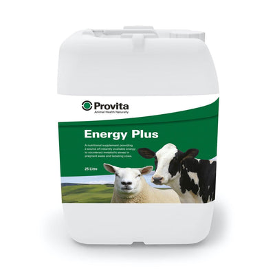 PROVITA ENERGY PLUS - Ormskirk Pets