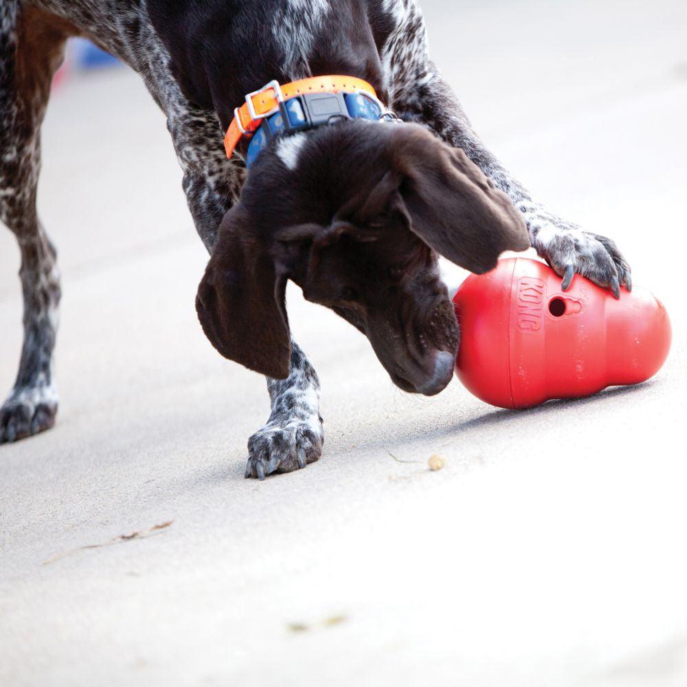 KONG Wobbler - Ormskirk Pets