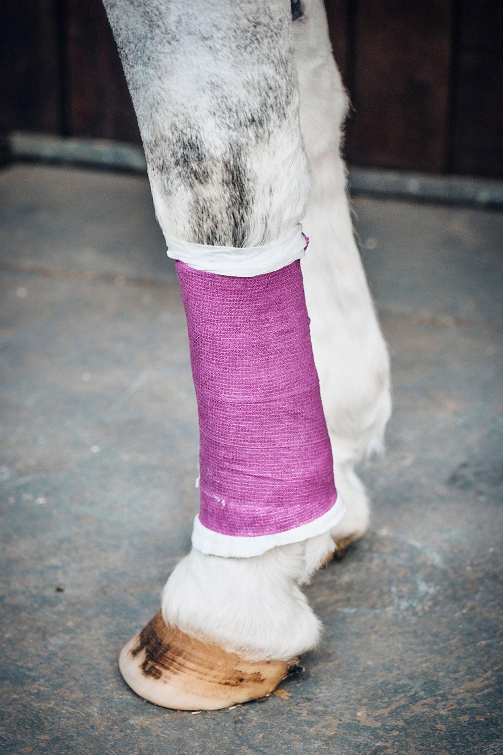 Robinsons Healthcare Equiwrap Bandage 10 Cm X 4.5 M Purple - Ormskirk Pets