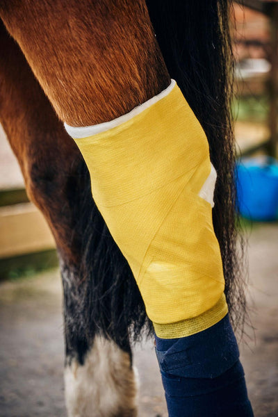 Robinsons Healthcare Equiwrap Bandage 10 Cm X 4.5 M Yellow - Ormskirk Pets