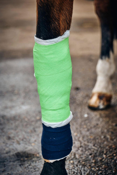 Robinsons Healthcare Equiwrap Neon Bandage 10 Cm X 4.5 M Green - Ormskirk Pets