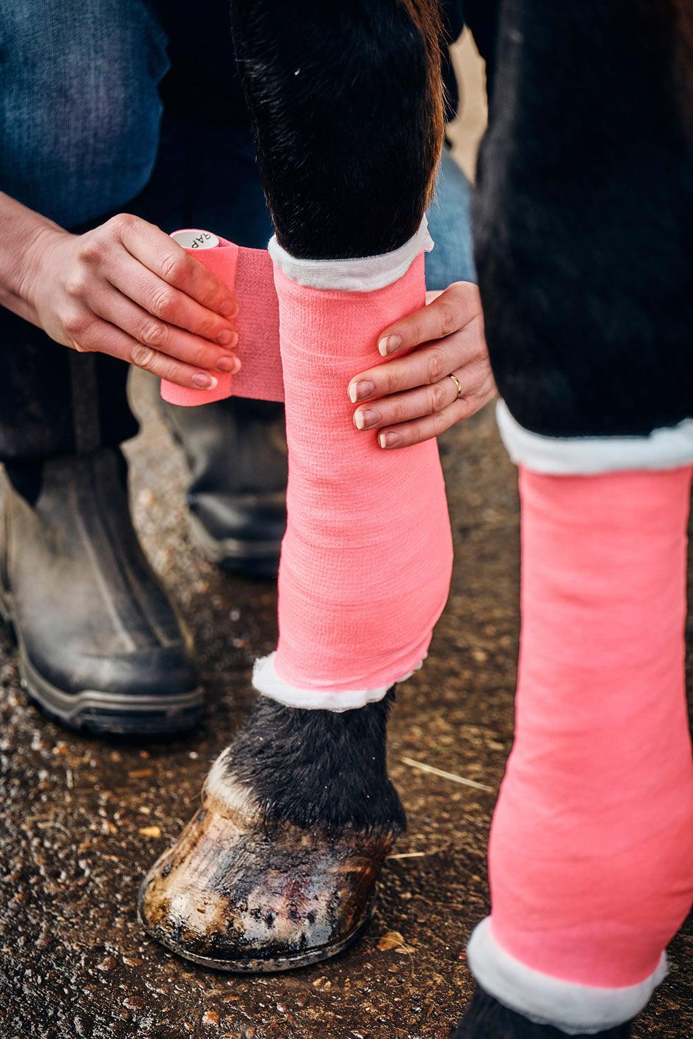 Robinsons Healthcare Equiwrap Neon Bandage 10 Cm X 4.5 M Pink - Ormskirk Pets