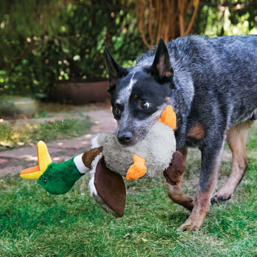 KONG Shakers Honkers Duck - Ormskirk Pets