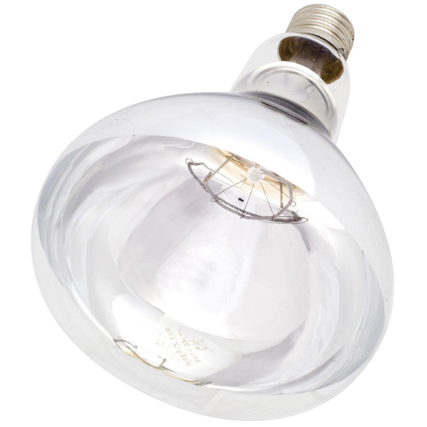 Intelec Hard Glass Infra-Red Heat Bulb 250W Clear - Ormskirk Pets