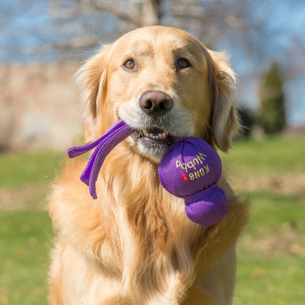 KONG Wubba - Ormskirk Pets